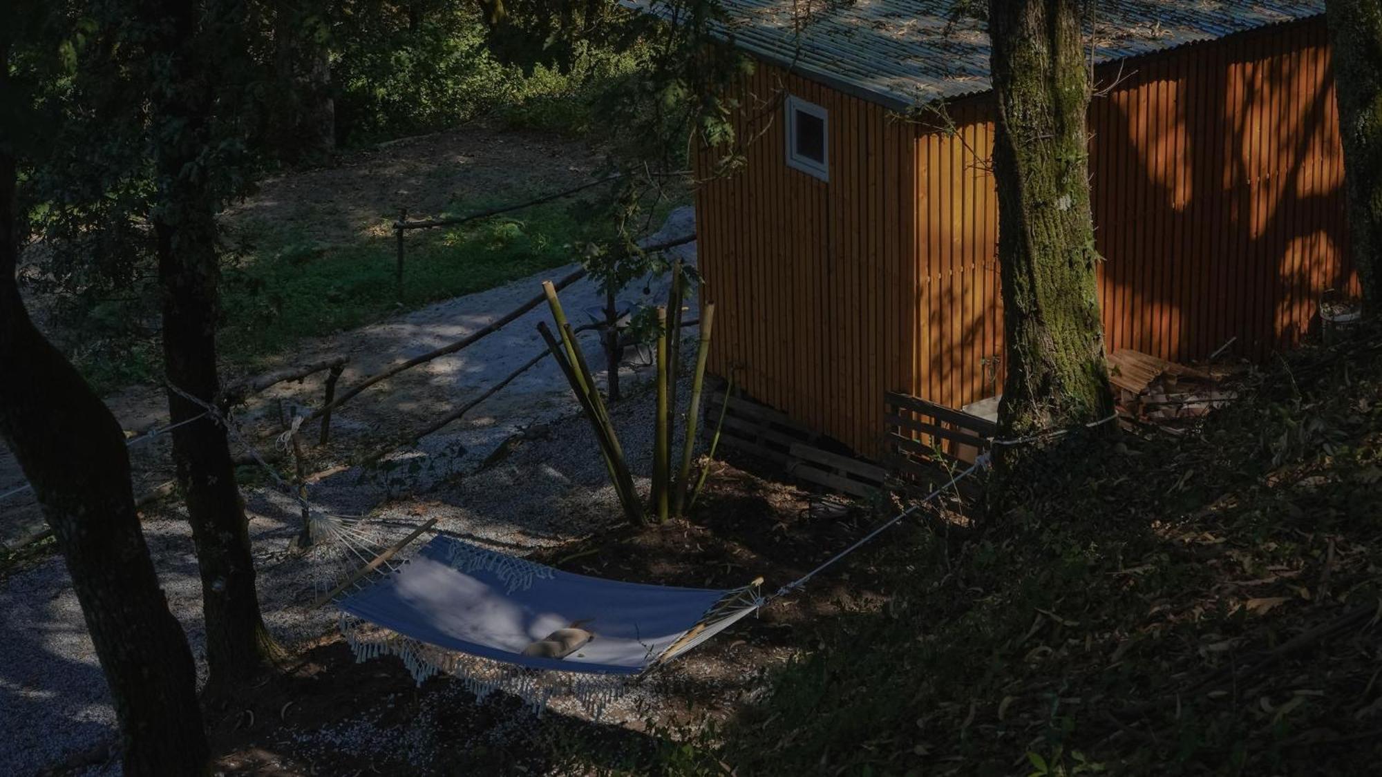 Camping Quinta Miminel