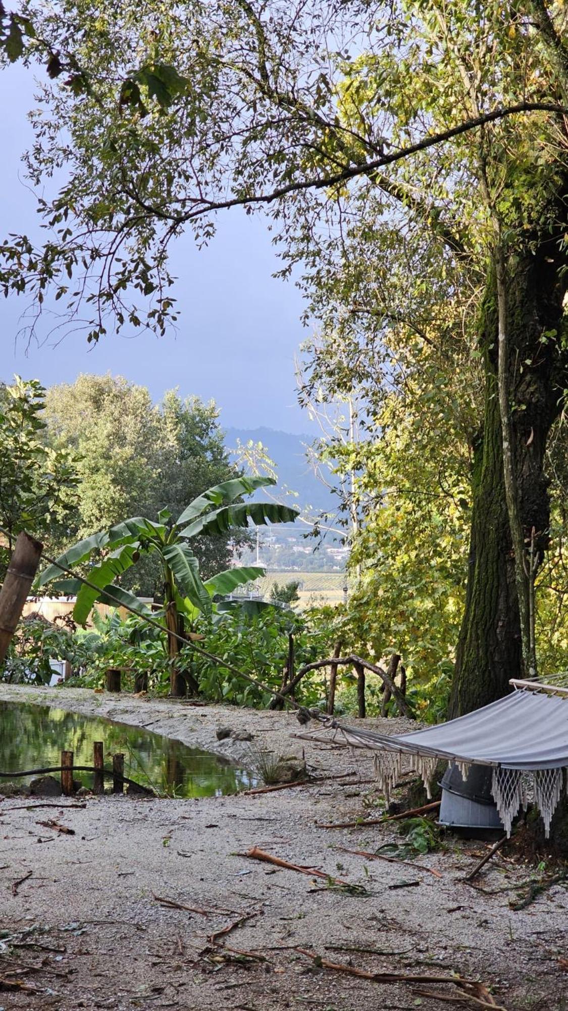 Camping Quinta Miminel Rabuide
